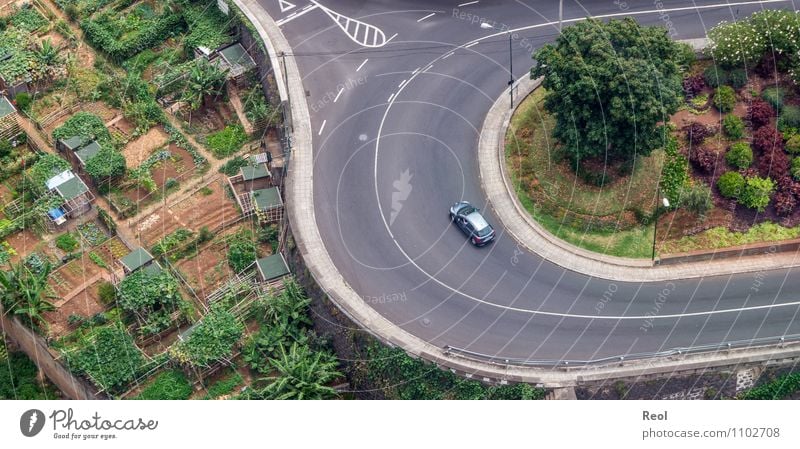 Kurve Natur Landschaft Urelemente Erde Pflanze Baum Bananenstaude Bananenplantage Landwirtschaft Schrebergarten Garten Wiese Feld Funchal Madeira Verkehr