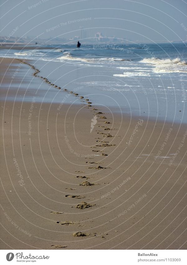 Spuren Ausflug Abenteuer Ferne Freiheit Strand Meer Wellen Reitsport Reiten Natur Wasser Horizont Schönes Wetter Küste Nordsee Pferd 1 Tier entdecken Erholung