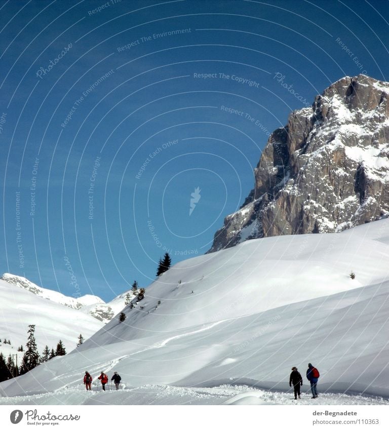 Auf zum Sulzfluh Winter Februar kalt Neuschnee Winterurlaub Schneewandern Kanton Graubünden Schweiz weiß Schneewehe braun Schönes Wetter Tiefschnee Alm Baum