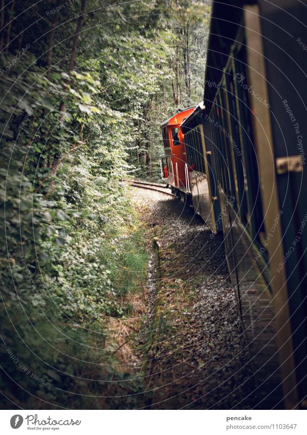 zug | kraft Technik & Technologie Natur Landschaft Urelemente Erde Sommer Wald Alpen Schienenverkehr Bahnfahren Eisenbahn Lokomotive Personenzug Zugabteil