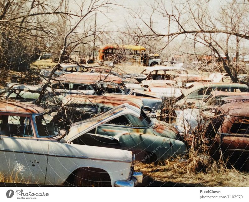 Autofriedhof Design Ferien & Urlaub & Reisen Tourismus Abenteuer Umwelt Verkehr Verkehrsmittel Straßenverkehr Autofahren Fahrzeug PKW Stahl alt retro braun grau