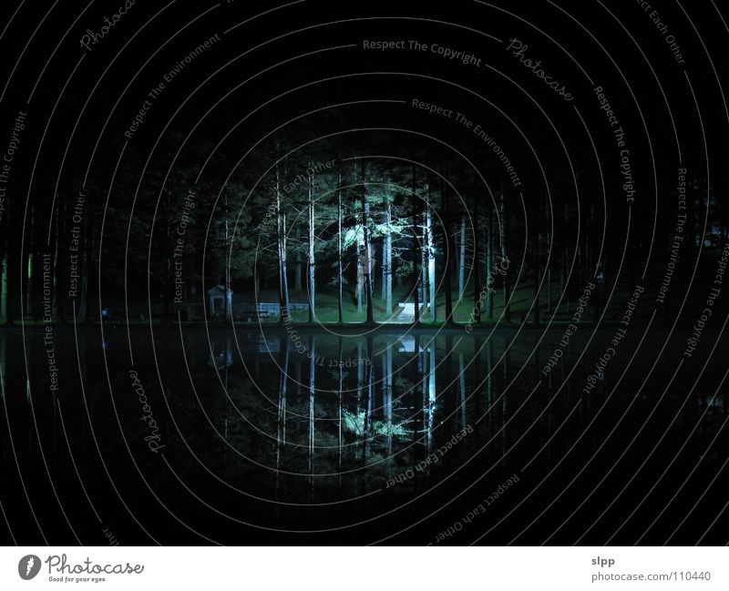 Zlatibor's lake at night Natur Licht Langzeitbelichtung mountan serbia cristal light fountain black trees pine tree