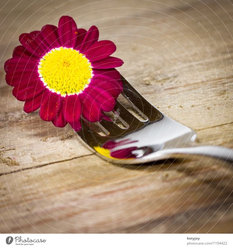 Gabel mit lila Blümchen Restaurant Besteck Margerite Blume Geschenk Blüte Gutschein Frühling Geburtstag violett Gerbera Glück Postkarte Gesunde Ernährung Essen