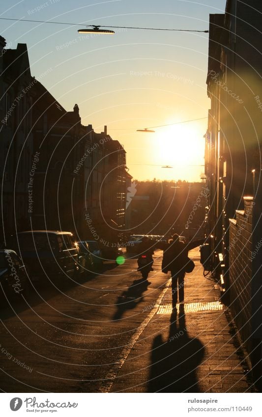 What a Feeling Sonnenuntergang Gefühle genießen Erfolg Freude sun Straße street Mensch Arme Rücken cross