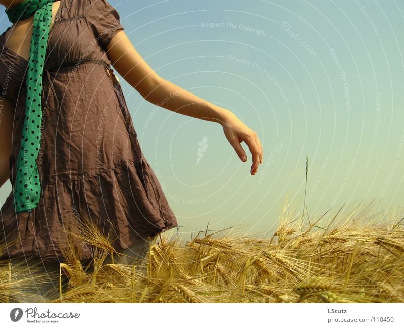 fields of gold Sommer Junge Frau Jugendliche Erwachsene 1 Mensch 18-30 Jahre Natur Wolkenloser Himmel Sonnenlicht Schönes Wetter Nutzpflanze Feld Kleid Schal