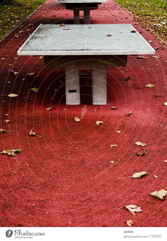 Ohne Netz, mit doppeltem Boden Beton Blatt Bodenbelag Freizeit & Hobby Gummi hart Herbst Herbstlaub Pause rot Spielen Spielplatz Tischtennis Tischtennisplatte