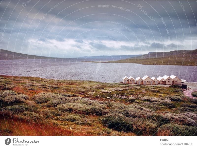 Hardangervidda Ferien & Urlaub & Reisen Berge u. Gebirge Gastronomie Umwelt Natur Landschaft Pflanze Himmel Wolken Horizont Herbst Klima Wetter Moos Flechten