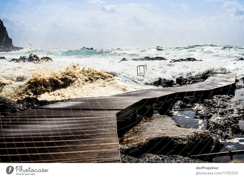 Gehe du schon mal vor Umwelt Natur Landschaft Pflanze Tier Sommer Sturm Wellen Küste Strand Bucht Meer Insel Aggression bedrohlich Gefühle Angst Entsetzen