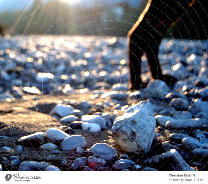 Herbststrahlen Sonnenuntergang Sonnenstrahlen Lichteinfall Hund ruhig Kies Mineralien Stein Trauer Verzweiflung Fluss Bach Herbstlicht Sand Schatten Hundebeine