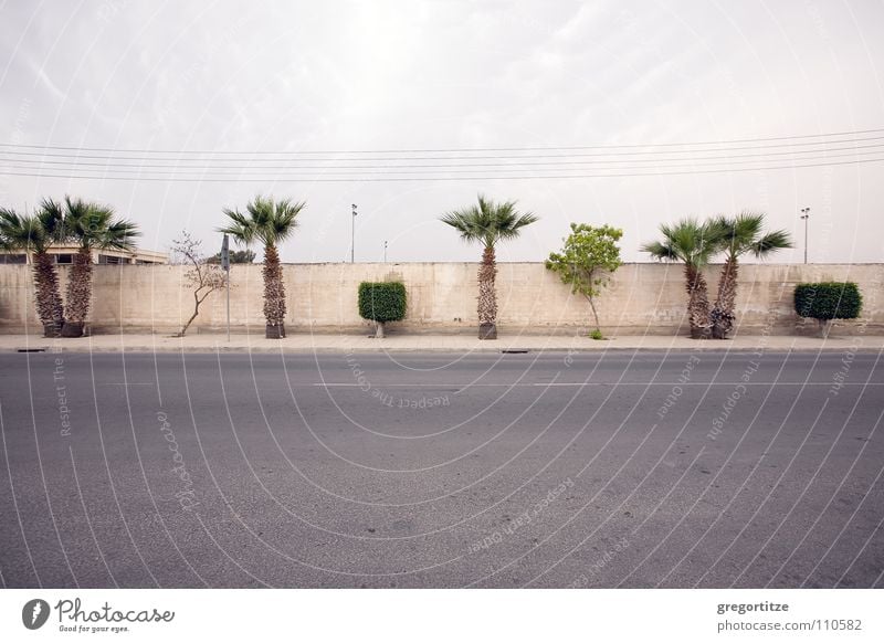 street near larnaka Palme Zypern Wolken Verkehrswege road Straße cyprus cloud clouds cloudy