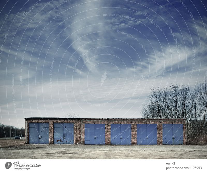 Anpassung Himmel Wolkenloser Himmel Schönes Wetter eckig einfach blau sparsam Ordnung Garage Garagentor Baum Supertotale rustikal Vorderseite frontal Farbfoto