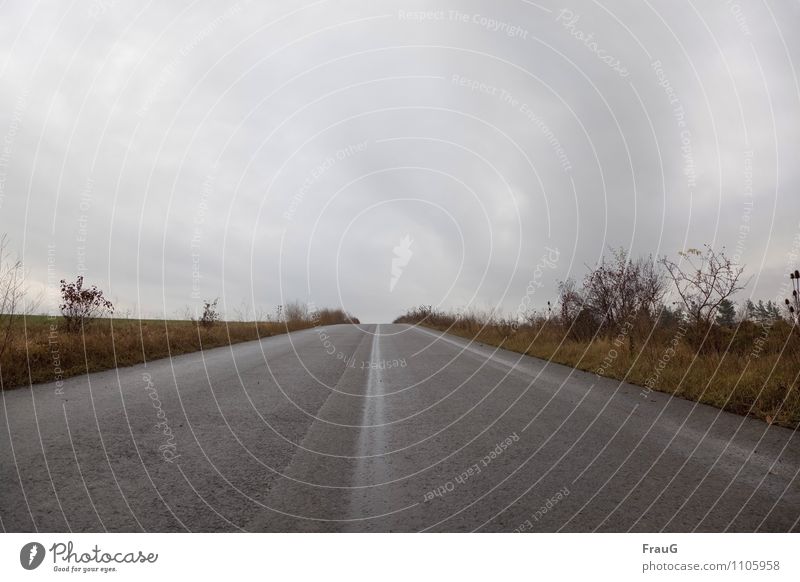 Auf zu neuen Horizonten Himmel Wolken Herbst Gras Sträucher Hügel Straße Neugier Erwartung trüb Spuren Wege & Pfade aufwärts Farbfoto Außenaufnahme Menschenleer