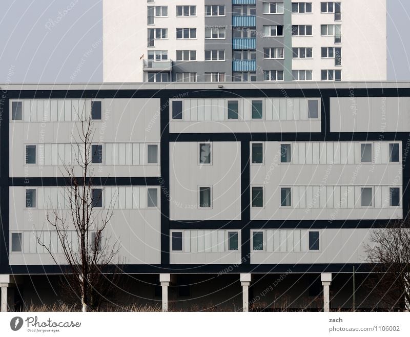 Schachtelhausen Pflanze Baum Berlin Stadt Stadtzentrum Stadtrand überbevölkert Menschenleer Haus Hochhaus Industrieanlage Bauwerk Architektur Mauer Wand Fassade