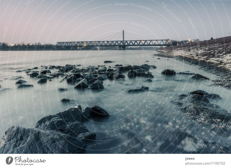 Sieben Wolkenloser Himmel Schönes Wetter Flussufer Brücke groß Stahlbrücke Rheinbrücke Schrägseilbrücke Farbfoto Gedeckte Farben Außenaufnahme Menschenleer