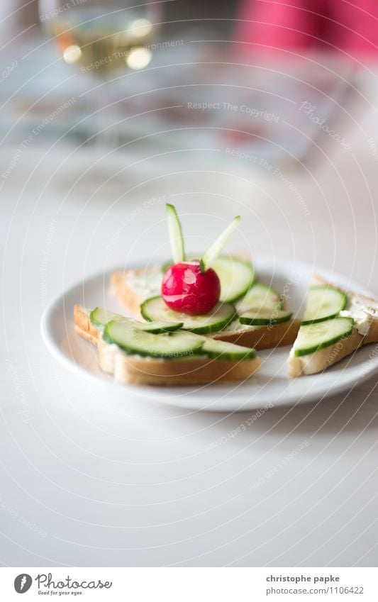 Falscher Hase Lebensmittel Käse Gemüse Brot Ernährung Frühstück Vegetarische Ernährung Teller Gesunde Ernährung Wohnung Fröhlichkeit frisch Gesundheit niedlich