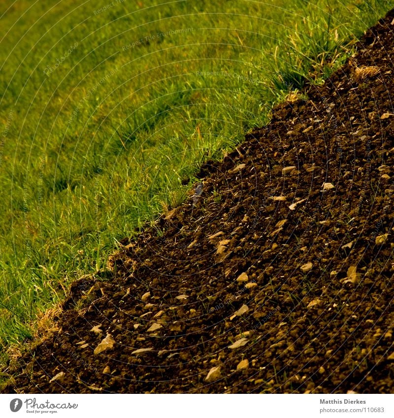 / - jubilee Feld Wiese Herbst Sommer Landwirtschaft Arbeit & Erwerbstätigkeit Horizont trist Trauer Botanik Jungpflanze Nebel Herbstwetter Regen Ordnung