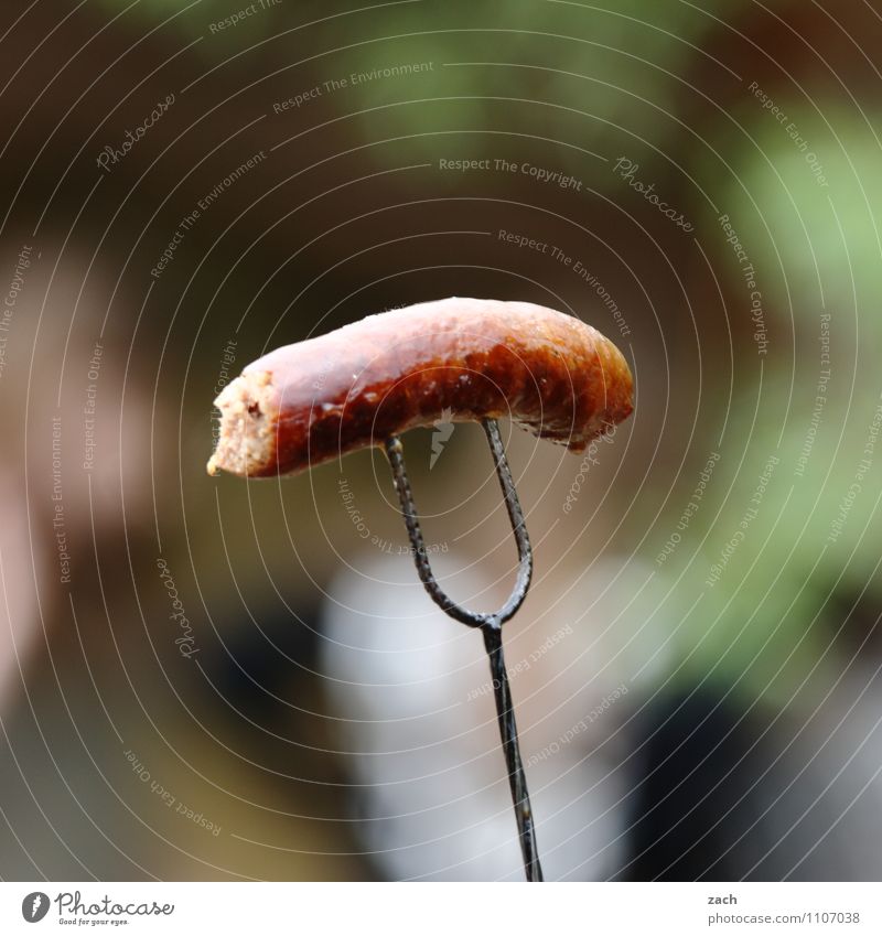 What a Wörst Lebensmittel Wurstwaren Bratwurst Würstchen Ernährung Essen Abendessen Grillen Grillsaison Spies Gesunde Ernährung Übergewicht Garten Ekel lecker