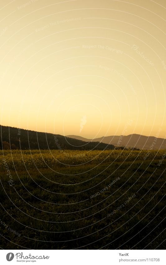 herbstrot Sonnenuntergang Nebel Dämmerung Abend Feld Rapsfeld Hügel Wald Wiese Horizont Herbst kalt Gras dunkel orange Abenddämmerung Berge u. Gebirge