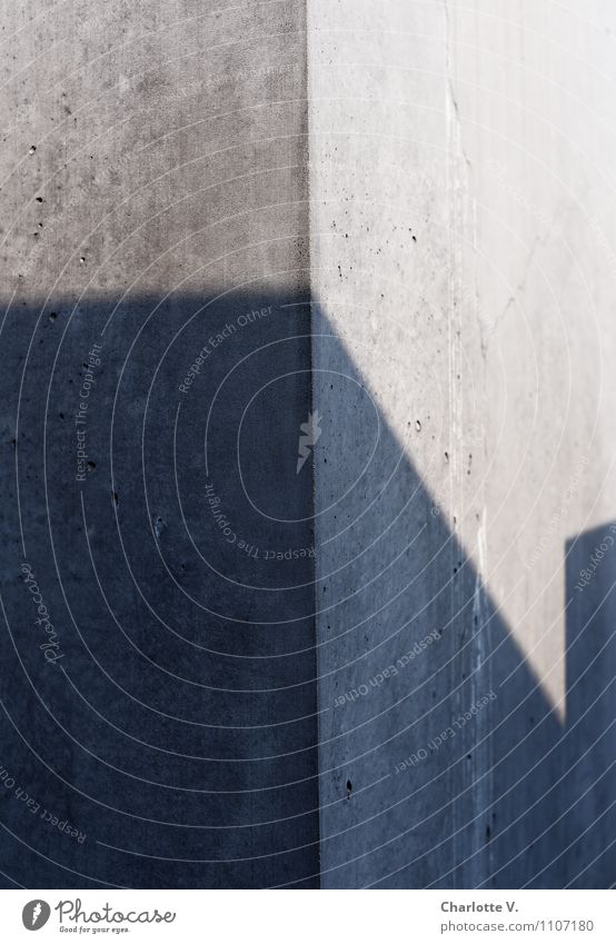 Schatten der Vergangenheit erinnern Denkmal Sonnenlicht Schönes Wetter Berlin Deutschland Europa Stadtzentrum Menschenleer Bauwerk Architektur Mauer Wand