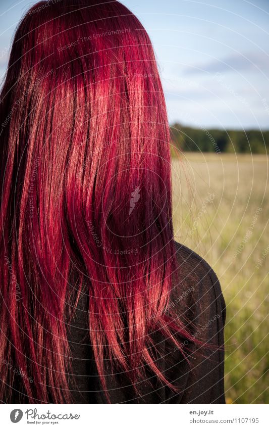 Haaare Haare & Frisuren feminin Junge Frau Jugendliche Erwachsene Kopf 1 Mensch 13-18 Jahre Kind 18-30 Jahre rothaarig langhaarig außergewöhnlich trendy