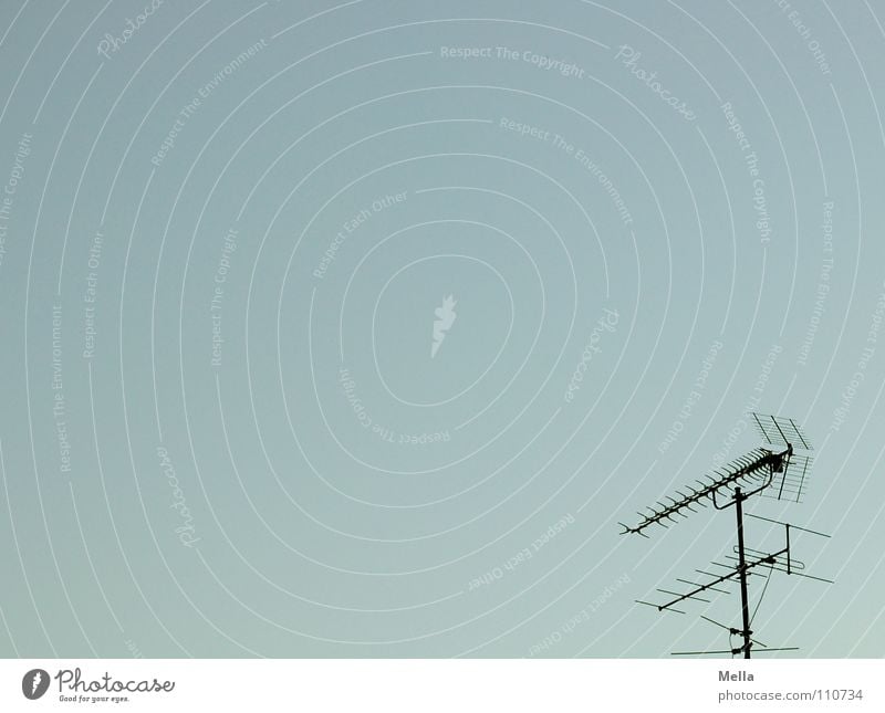 Eine Frage der Ausrichtung Antenne Funktechnik Funkwellen Fernsehen Fernseher Radiowellen ausrichten Richtung parallel nebeneinander aufeinander rechts unten