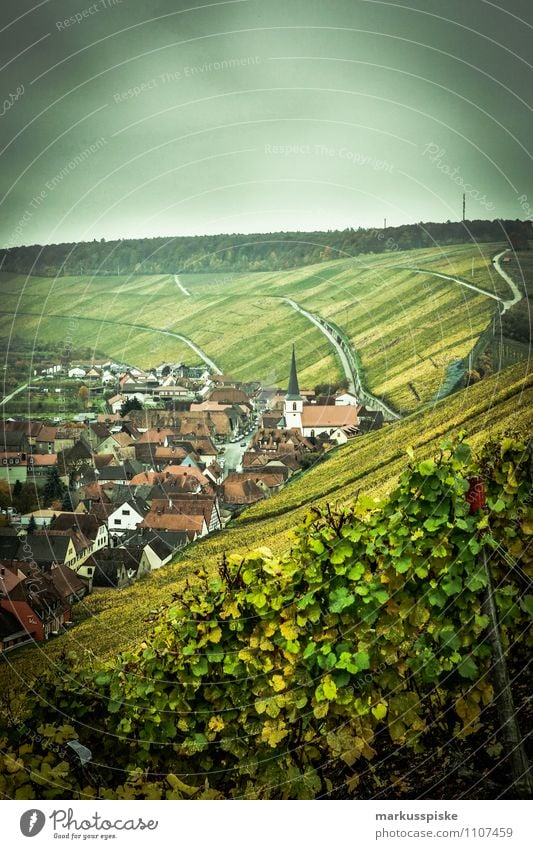 main- weinfranken Flasche Tourismus Berge u. Gebirge Fähre genießen Anbau Bocksbeutel Feinschmecker Heckenwirtschaften Kulinarik Main Mainfranken Nordheim Wein