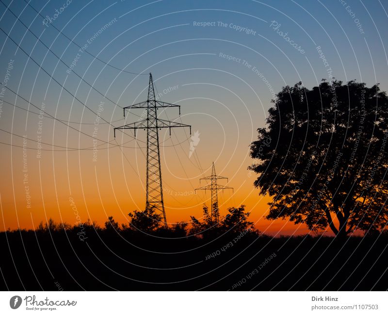 Energiewende Kabel Technik & Technologie Energiewirtschaft Erneuerbare Energie Energiekrise Umwelt Landschaft Urelemente Luft Himmel Horizont Pflanze Baum Feld