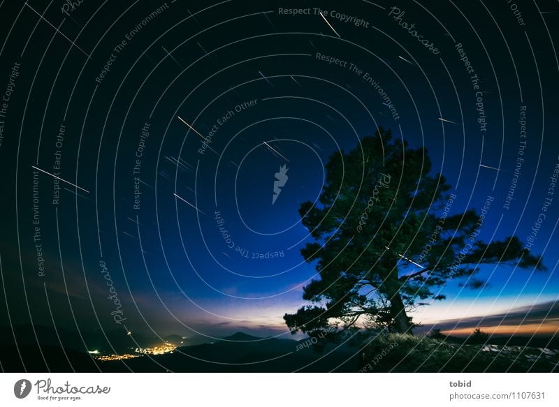 Startrails Natur Landschaft Pflanze Himmel Wolkenloser Himmel Nachthimmel Stern Horizont Baum Gras Wald Hügel Berge u. Gebirge Felsvorsprung Dorf Bewegung