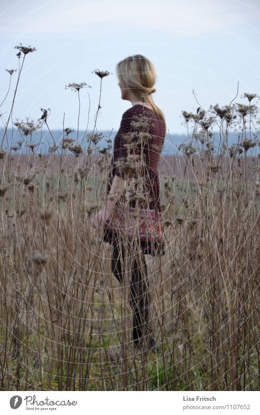 versteckt! feminin Junge Frau Jugendliche Erwachsene 1 Mensch 18-30 Jahre Natur Sträucher Wiese Feld Mode Kleid blond langhaarig beobachten Erholung genießen