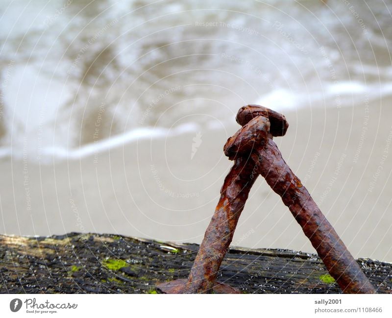 anlehnungsbedürftig... Küste Strand Meer Nagel Holz Metall alt berühren stehen trashig Senior Partnerschaft Endzeitstimmung Teamwork Vergänglichkeit 2 Rost