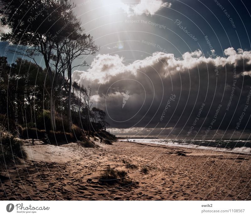 Nordlicht Umwelt Natur Landschaft Wasser Himmel Wolken Gewitterwolken Horizont Sonne Sonnenlicht Klima Wetter Schönes Wetter Baum Sträucher Wellen Küste Strand