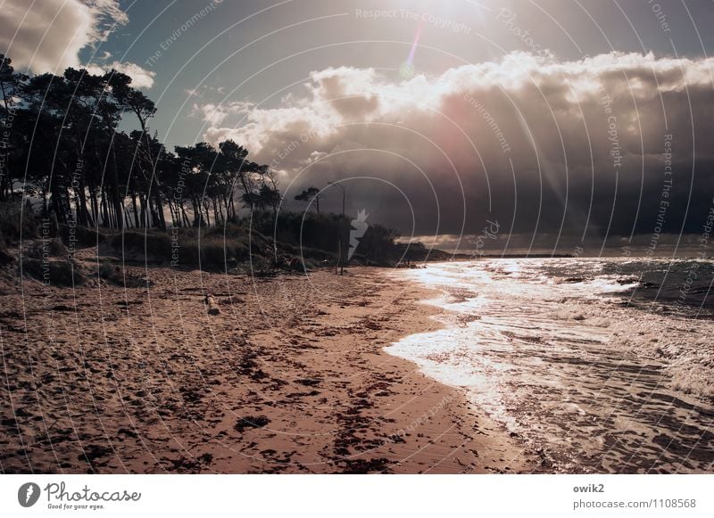 Seelenlandschaft Mensch Umwelt Natur Landschaft Sand Luft Wasser Himmel Wolken Gewitterwolken Horizont Schönes Wetter Wind Baum Sträucher Wellen Küste Strand