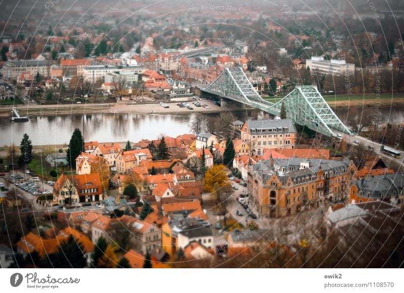 Dresden Loschwitz Tourismus Städtereise Baum Fluss Elbe Blaues Wunder Villa Stadt bevölkert Haus Fassade Dach Straße PKW Gelassenheit ruhig Sehnsucht Fernweh