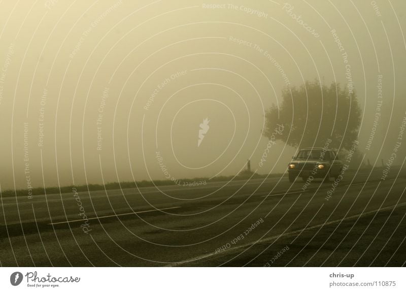 70er Jahre Landstrasse Nebel Baum Nebelfeld Nebelbank Landstraße Feld Landwirtschaft Fußweg Gemüsebau braun grün Ackerbau Baumreihe dunkel grau Aussicht