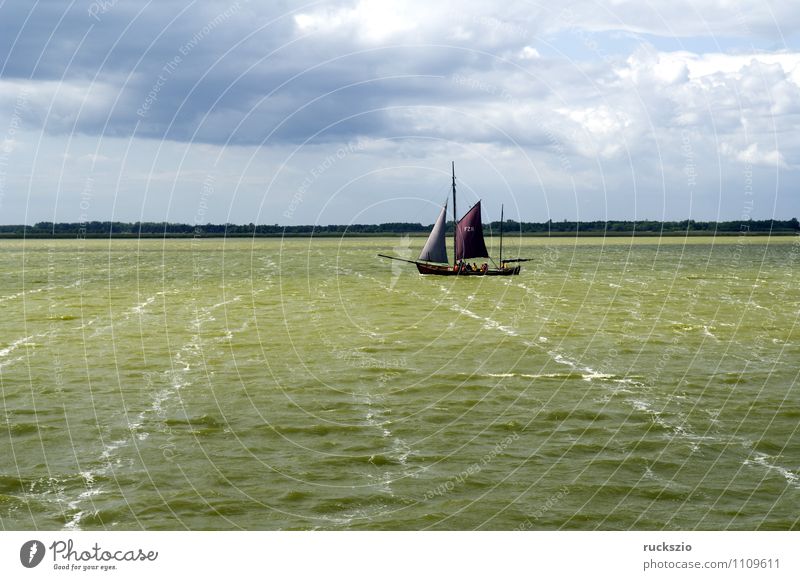 Zeesboot, Saaler Bodden, Landschaft Strand Meer Wellen Wasser Himmel Küste Ostsee See Segelboot Segelschiff Wasserfahrzeug Schwimmen & Baden Sport