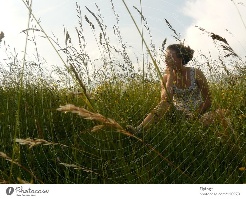 Grasgeflüster Blume Top grün Wiese Feld Philosophie Stengel Frau schlafen ruhig ruhen Erholung verträumt Sommer Frühling Stillleben Langeweile Frieden Locken