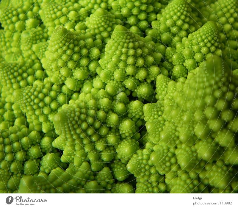 Detail eines Romanesco-Kohlkopfes Blumenkohl Brokkoli Ernährung Lebensmittel Vegetarische Ernährung Vegane Ernährung Pflanze Gesundheit Vitamin kochen & garen