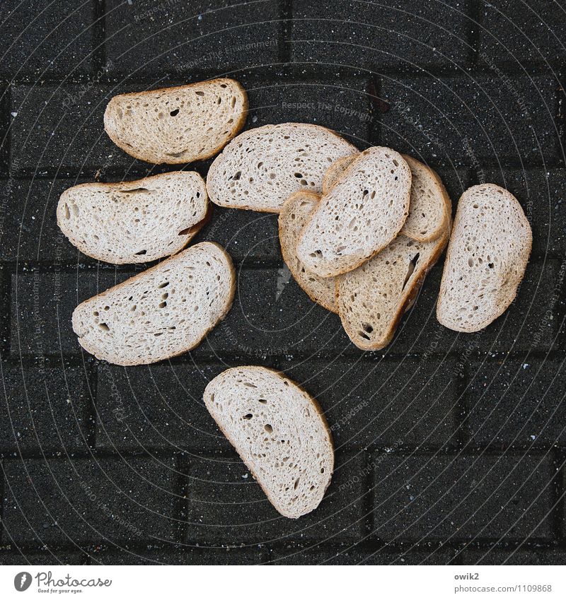 Brotzeit Lebensmittel Weißbrot Brotscheibe Schnittbrot Bodenplatten Wege & Pfade Bürgersteig liegen unten viele Misserfolg Missgeschick Tabubruch verlieren