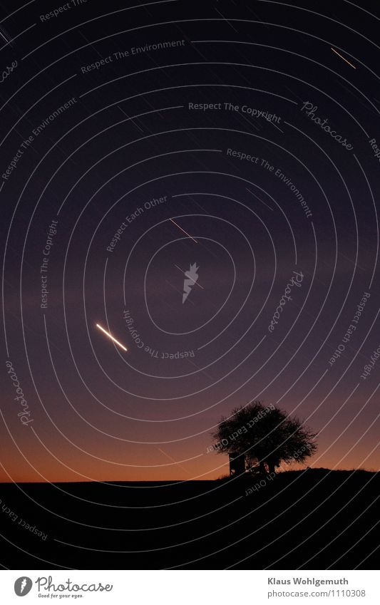 Stilles Örtchen Abenteuer Natur Landschaft Erde Himmel Wolkenloser Himmel Stern Horizont Frühling Winter Schönes Wetter Baum Wiese Feld Sarnow leuchten gruselig