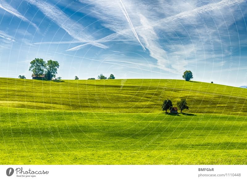 schlichte Schönheit der Natur Umwelt Landschaft Pflanze Himmel Wolken Klima Klimawandel Schönes Wetter Baum Gras Park Wiese Hügel Zufriedenheit Bewegung