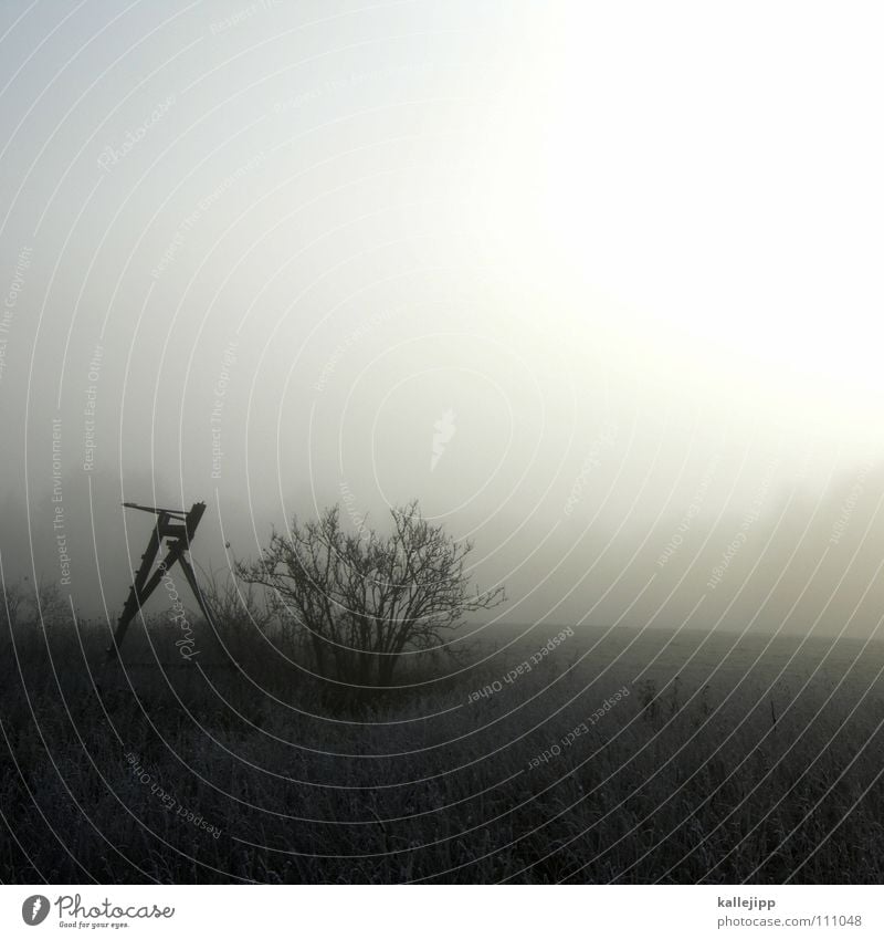 blattschuss Hochsitz Reh Hirsche Bauernhof Wohnsiedlung Nebel Morgennebel Tau Wassertropfen schlechtes Wetter Nebelbank Wildtier Feld lockern pflügen Pflug