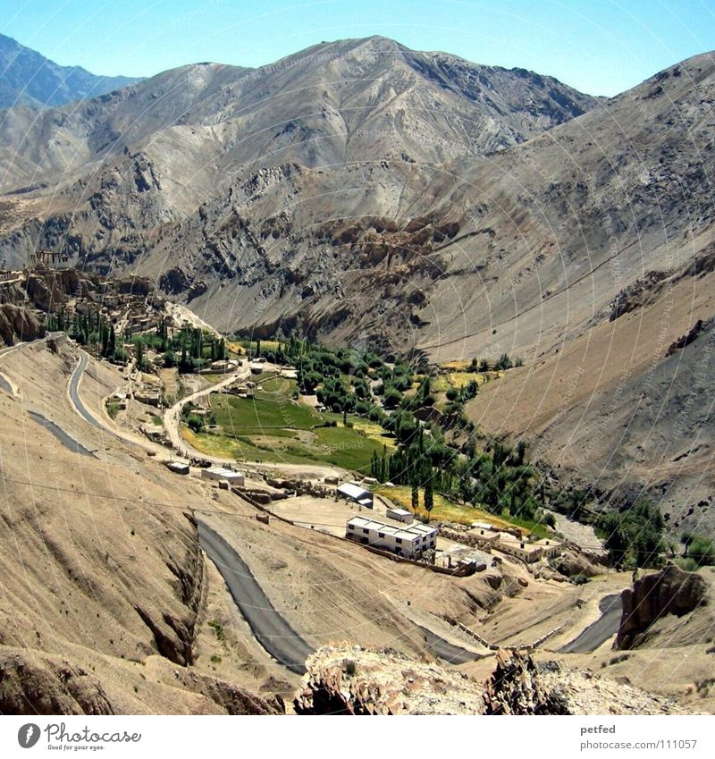 Stück Himalaja in Ladakh I Indien Jammu, Ladakh, Kaschmir Oase Kultur Hochebene wandern Bergsteigen Asien Erde Amerika Himalaya Ferien & Urlaub & Reisen