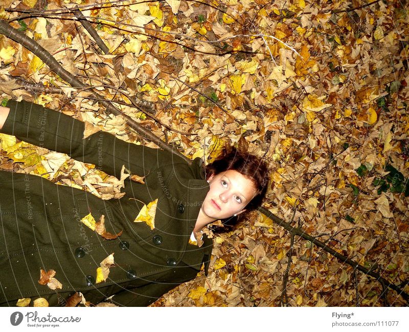 Im Laube verweht Herbst Herbstlaub grün dunkelgrün Blatt Frau Mantel Wald wach verträumt Leiche finden Bekleidung melancolie Frieden Ast mausetot halbtot