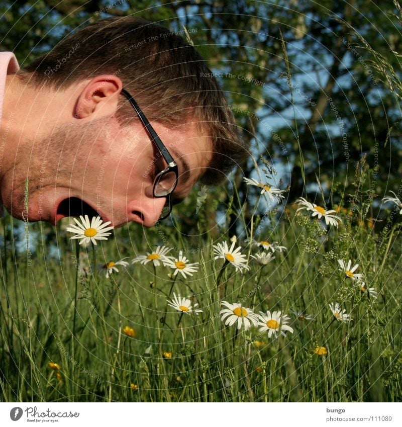 Marc ist unersätt(z)lich Tod Blume Blüte Gras verrückt Freak Mann Spinner Porträt Brille Grünpflanze Vegane Ernährung Vegetarische Ernährung Pflanze Gesundheit