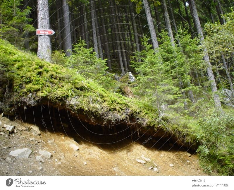 Abstieg Wand Wald Berge u. Gebirge Sand Schilder & Markierungen