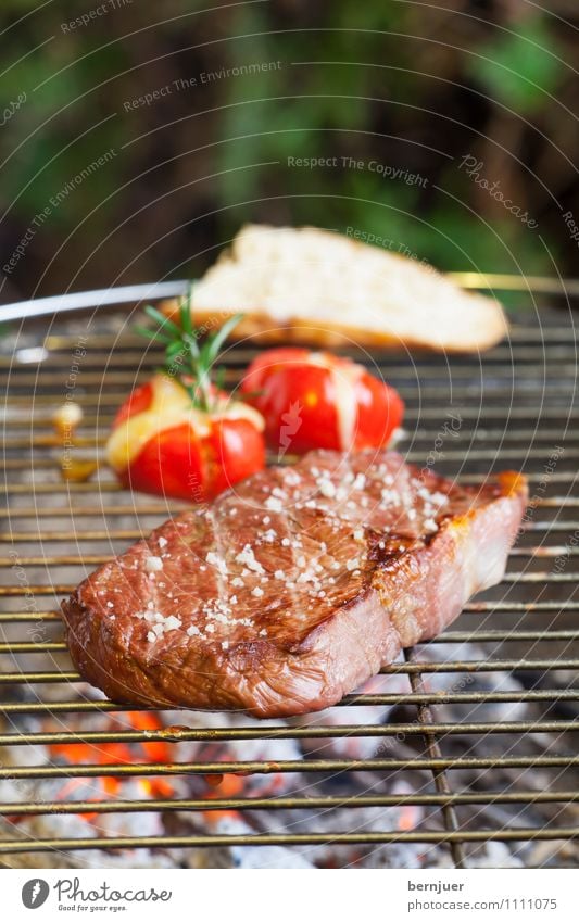 Grillen im Kopf Lebensmittel Fleisch Gemüse Brot Bioprodukte Slowfood Billig gut braun grün Steak Rindfleisch Tomate Grilltomate Baguette Rosmarin Grillrost