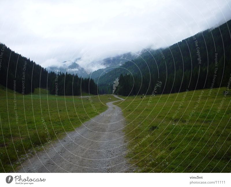 VerhangeneWiese Wald Wolken Nebel Fußweg Forstweg Berge u. Gebirge