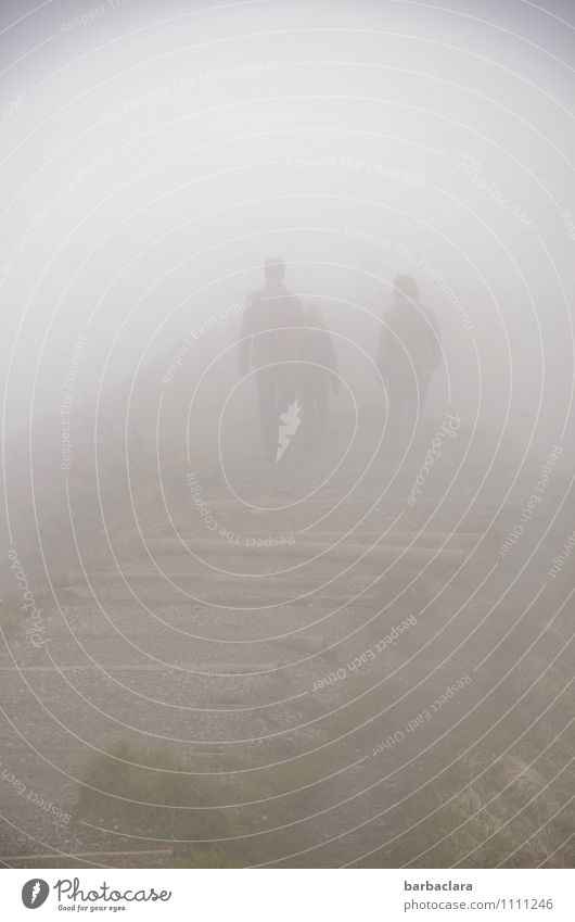 Eine Brille hilft auch nicht Abenteuer wandern Mensch 3 Natur Landschaft Erde Luft Klima Nebel Sträucher Berge u. Gebirge Allgäuer Alpen Stein gehen fantastisch