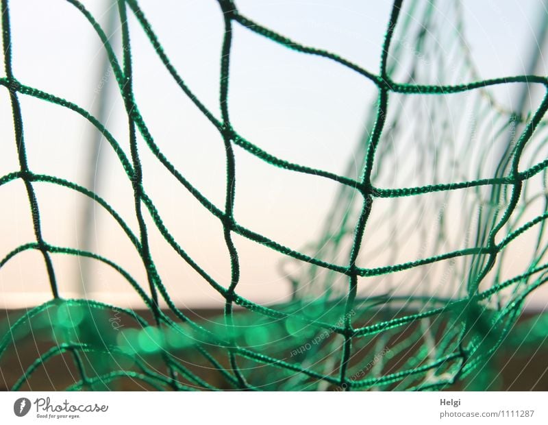 vernetzt... Freizeit & Hobby Spielen Sommer Sport Ballsport Fußball Fußballplatz Netz Fußballtor Kunststoff hängen authentisch einfach einzigartig blau grün