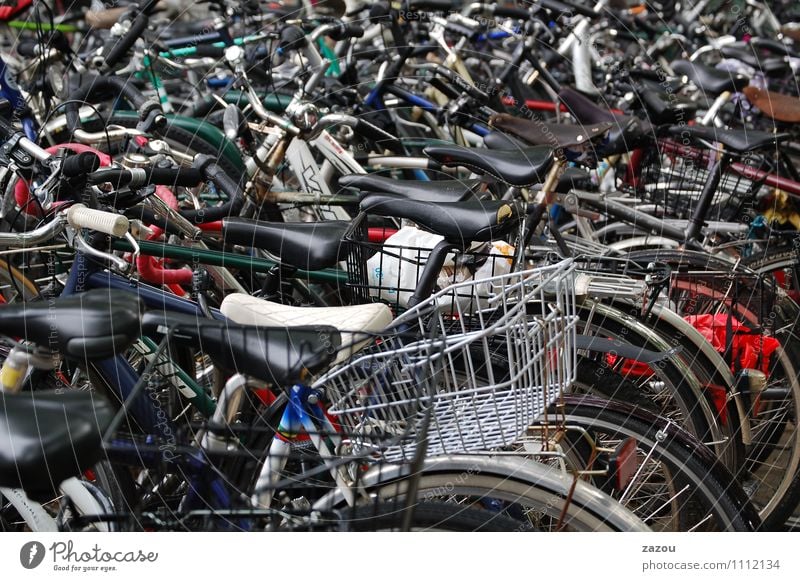 Fahrrad ohne Fisch... Stadtzentrum Personenverkehr Öffentlicher Personennahverkehr Fahrradfahren Bewegung Ordnung Fahrradsattel Farbfoto Außenaufnahme